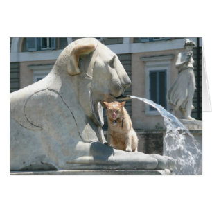 Cartão Gato mal-humorado em Roma, fonte na praça