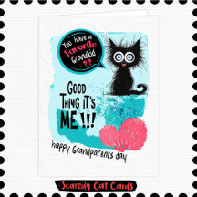 Gato Medroso Neto Favorito