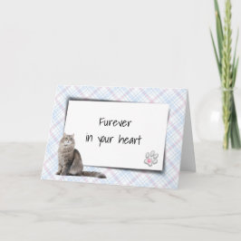 Cartão Gato Na Xadrez Pet Losse Simpatia