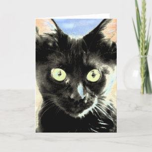 Cartão Gato negro