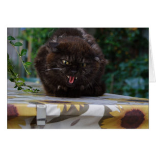 Cartão Gato Negro Irritado