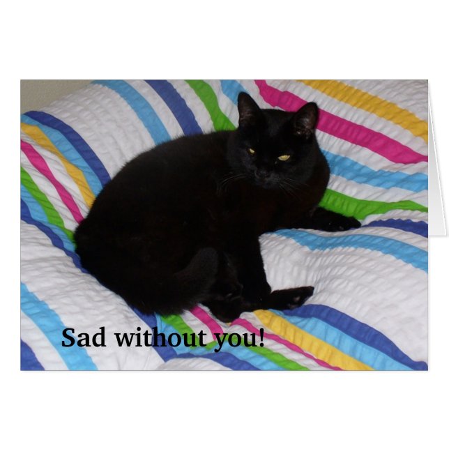 Cartão Gato Negro na Cama (Frente Horizontal)