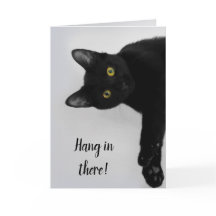 Gato Negro Personalizado Bonito Fica Bem