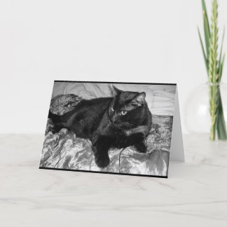 Cartão Gato Negro Sério