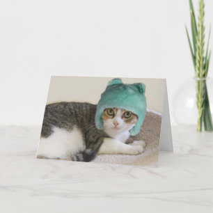 Cartão Gato no Aniversário do Chapéu Focado para uma Caus