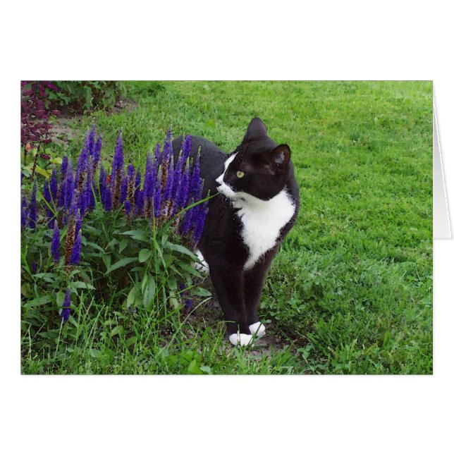 Cartão Gato no Jardim (Frente Horizontal)