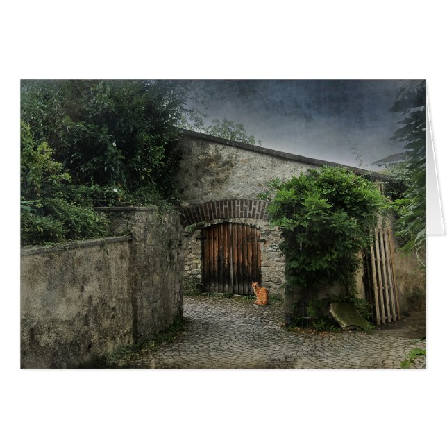 Cartão Gato num pátio (Frente horizontal)