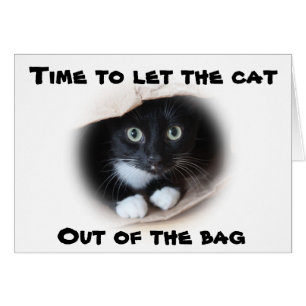 Cartão Gato numa bolsa