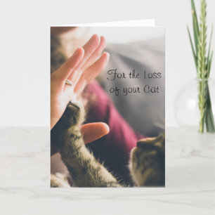 Cartão Gato-Pata Dando Alto-Cinco