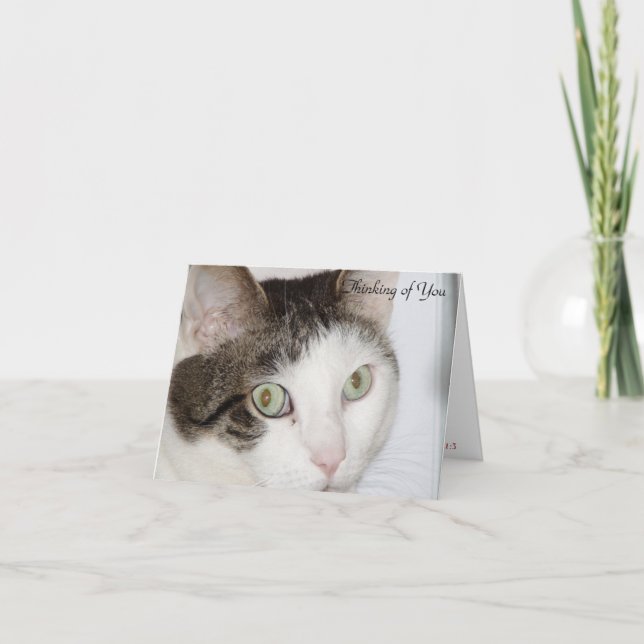 Cartão Gato - Pensando em você (Frente)