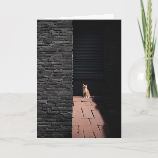 Cartão Gato perdido no Beco escuro pensando em você (Frente)