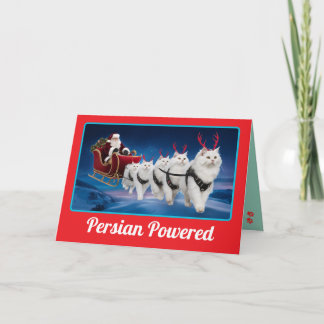 Cartão Gato Persa Branco Engraçado Natal Feriado