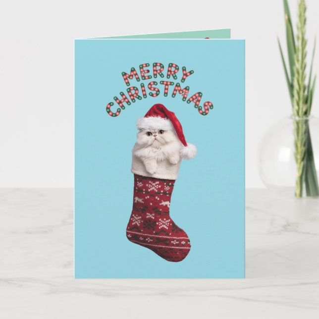Cartão Gato Persa Branco Fofo Natal (Frente)