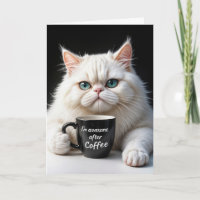 Gato Persa Branco Humor de Aniversário