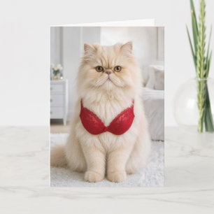 Cartão Gato Persa de Aniversário Vestindo uma Sutiã Verme