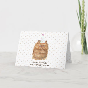 Cartão Gato Persa Engraçado com Chapéu de Festa