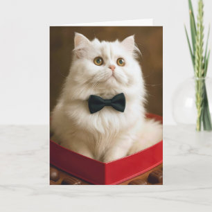 Cartão Gato Persa Valentine em Caixa de Balas
