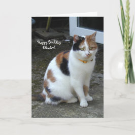 Cartão Gato personalizado do Calico sentado à porta de An
