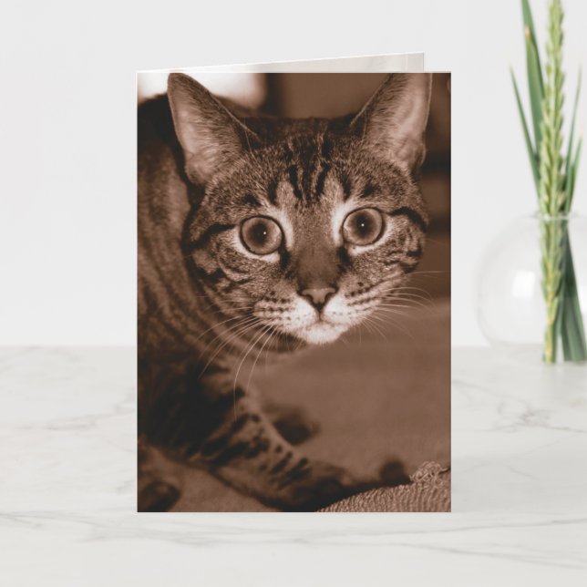 Cartão Gato Preocupado (Frente)