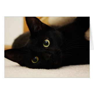 Cartão Gato preto