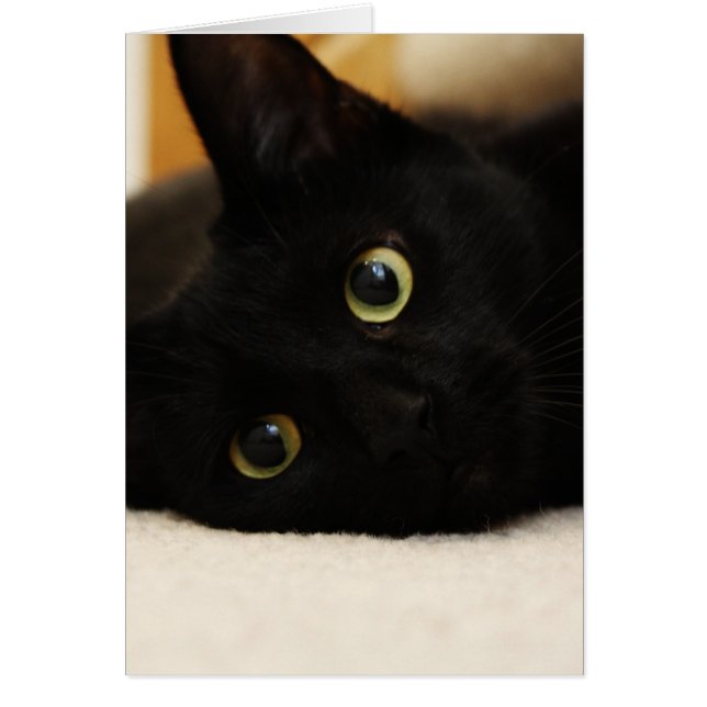 Cartão Gato preto (Frente)