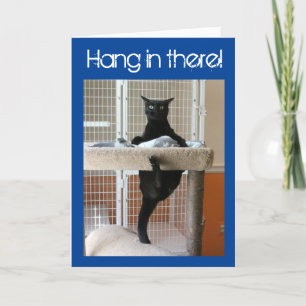 Cartão Gato Preto Agarrado à Árvore de Gatos