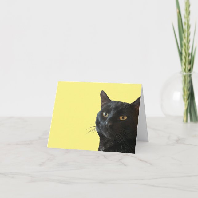 Cartão Gato Preto Com Uma Expressão Excêntrica e Divertid (Frente)
