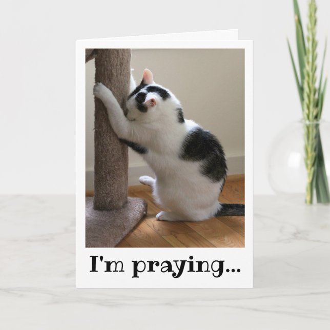 Cartão Gato Preto e Branco de Praia (Frente)