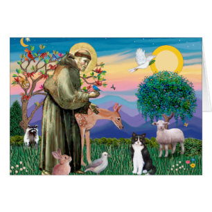 Cartão Gato Preto e Branco - Santo Francis