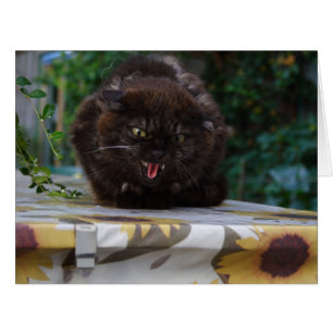 Cartão Gato preto irritado