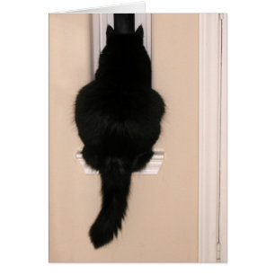 Cartão Gato preto na janela magro