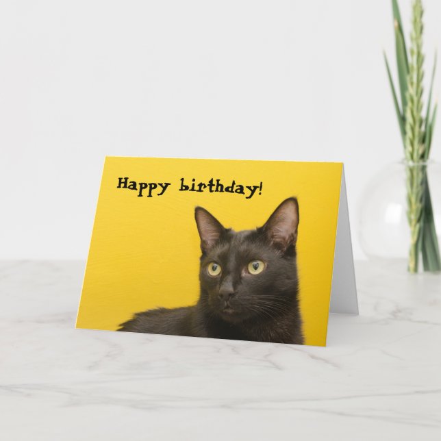 Cartão Gato preto no aniversário amarelo (Frente)