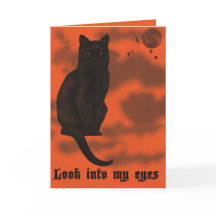 Gato preto o Dia das Bruxas