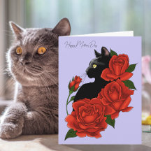 Gato Preto Rosas Vermelhas Lavanda Ousado Dia das