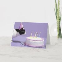 Gato que veste o chapéu do aniversário que funde