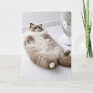 Cartão Gato Ragdoll de Aniversário Esfriando com um Venti