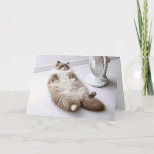 Cartão Gato Ragdoll de Retiro Esfriando com um Ventilador