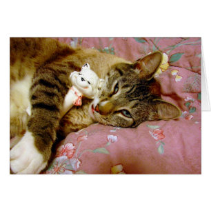 Cartão Gato Real, Gato Falso