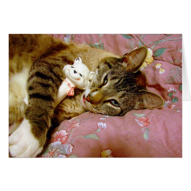 Cartão Gato Real, Gato Falso (Frente Horizontal)