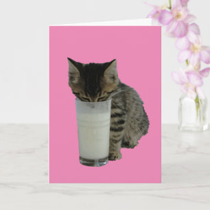 Cartão Gato Roubando Leite De Um Copo