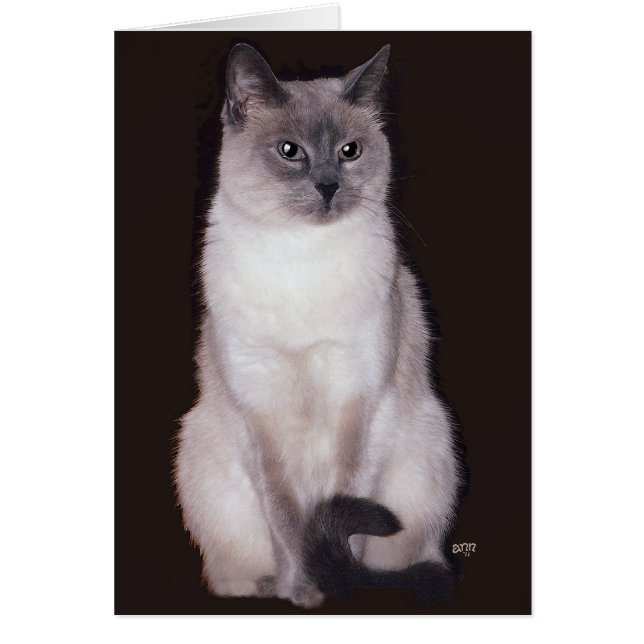 Cartão Gato Siames (Frente)