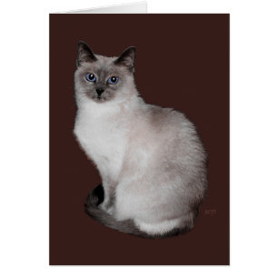 Cartão Gato Siames com Olhos Azuis