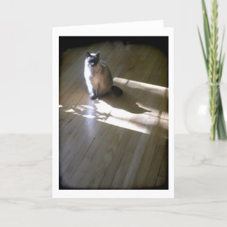 Cartão Gato siamês de pontas lilás ao sol