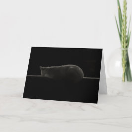 Cartão Gato Silhouette