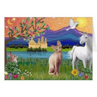 Cartão Gato Sphynx 1 - Terra da Fantasia