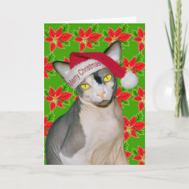 Cartão Gato Sphynx Ninja Papai Noel Natal Holi Verde