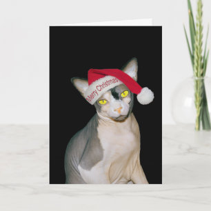 Cartão Gato Sphynx Papai Noel Natal Preto