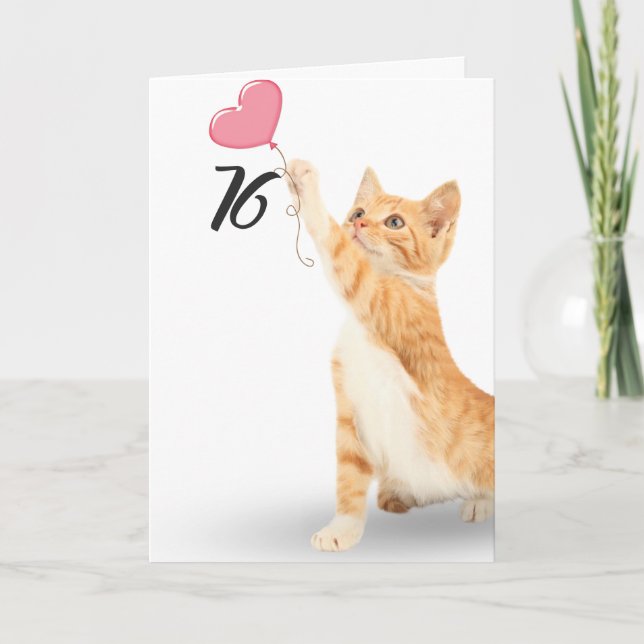 Cartão gato tabby aniversariante de 76 anos (Frente)