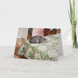 Cartão Gato Tabby Cinza Estudo D Em Aquarelas