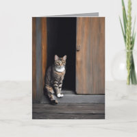 Gato Tabby de Aniversário na Porta do Celeiro
